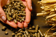free Balinoe biomass boiler quotes